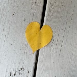 Meet your Posher, Colleen